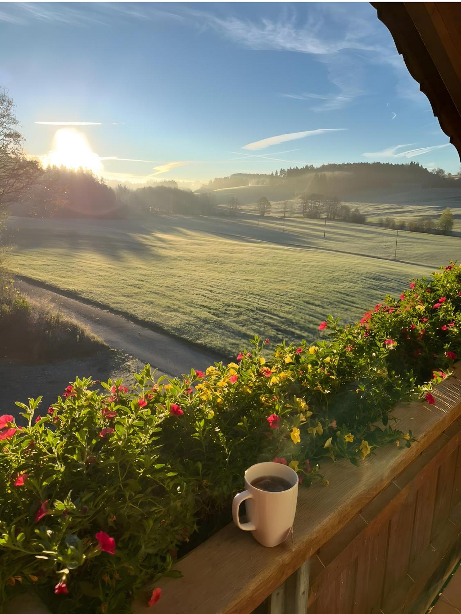 Martin'S Alm Apartment Friesenried ภายนอก รูปภาพ